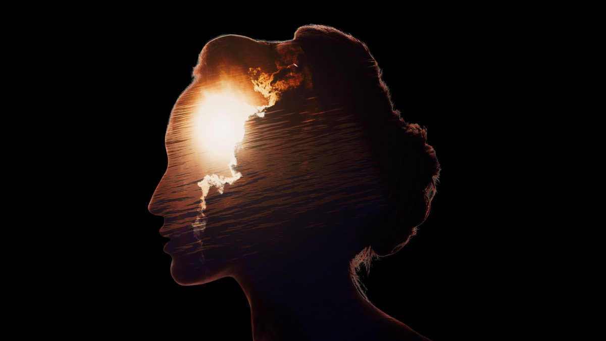 orange outline of head with a sunset inside, black background