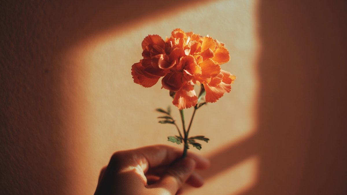 One Word Compliments: How to Motivate, Appreciate, and Connect