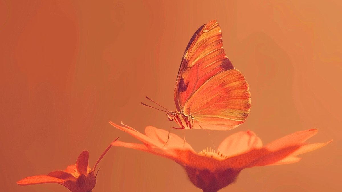 Butterfly Quotes to Reflect on Life's Fleeting Moments