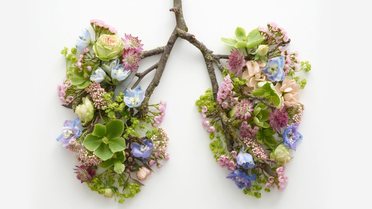 shape of lungs made of flowers