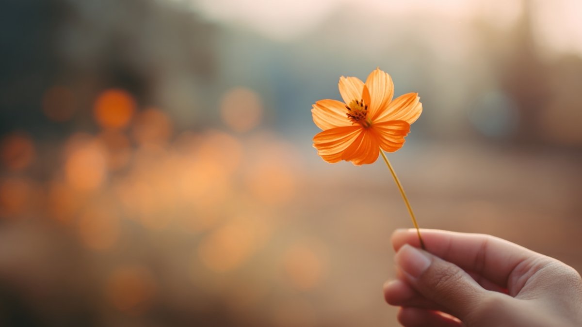 Things To Be Thankful For To Appreciate Right Now