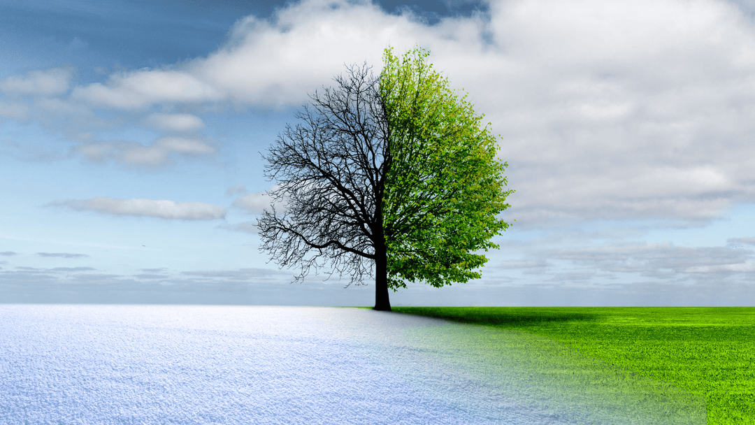 Change is Scary so Is Staying the Same: The Power of Growth