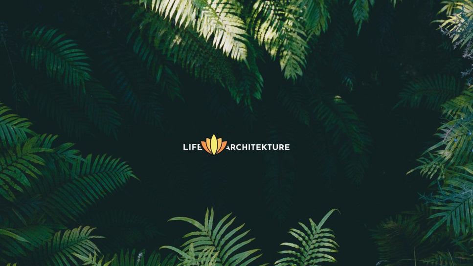 jungle leaves background with life architekture logo in the center